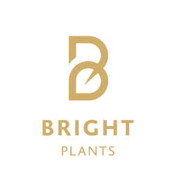Bright Plants Logo